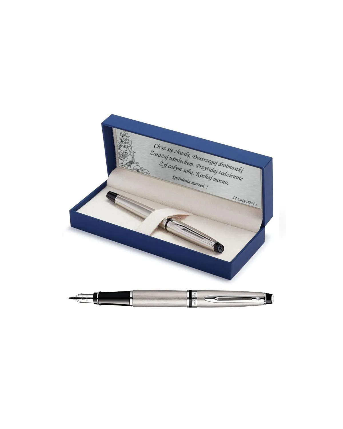 Pi&oacute;ro wieczne Waterman Expert stalowe CT [S0952040] - Watermansklep.com