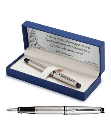 Pi&oacute;ro wieczne Waterman Expert stalowe CT [S0952040] - Watermansklep.com