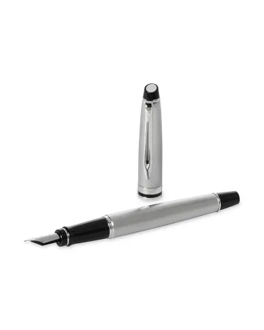 Pi&oacute;ro wieczne Waterman Expert stalowe CT [S0952040] - Watermansklep.com