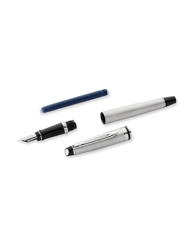 Pi&oacute;ro wieczne Waterman Expert stalowe CT [S0952040] - Watermansklep.com