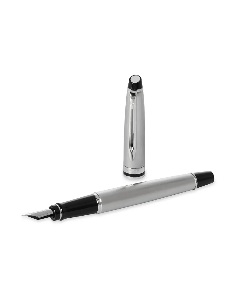Pi&oacute;ro wieczne Waterman Expert stalowe CT [S0952040] - Watermansklep.com