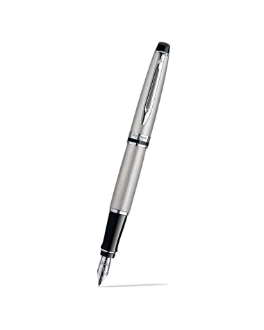 Pi&oacute;ro wieczne Waterman Expert stalowe CT [S0952040] - Watermansklep.com