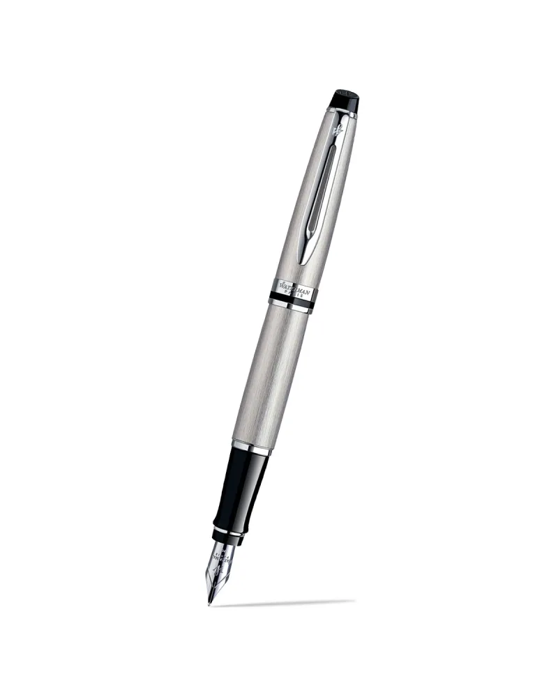 Pi&oacute;ro wieczne Waterman Expert stalowe CT [S0952040] - Watermansklep.com