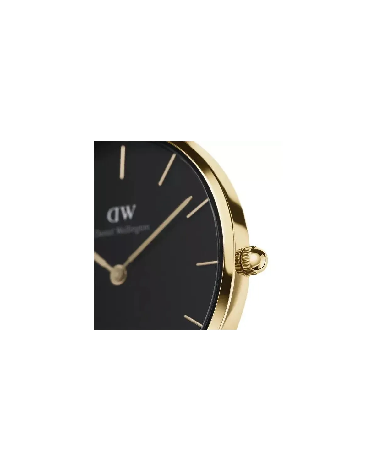 ZEGAREK DAMSKI DANIEL WELLINGTON DW00100347 - PETITE EVERGOLD 32mm (zw500e)
