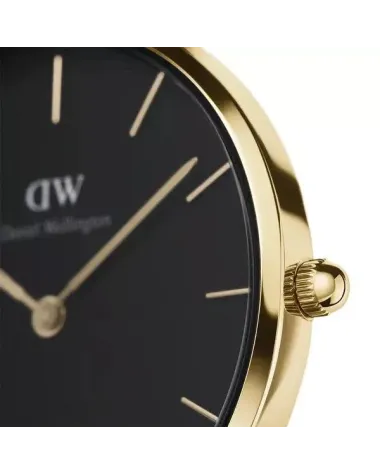 ZEGAREK DAMSKI DANIEL WELLINGTON DW00100349 - PETITE EVERGOLD 28mm (zw501c)