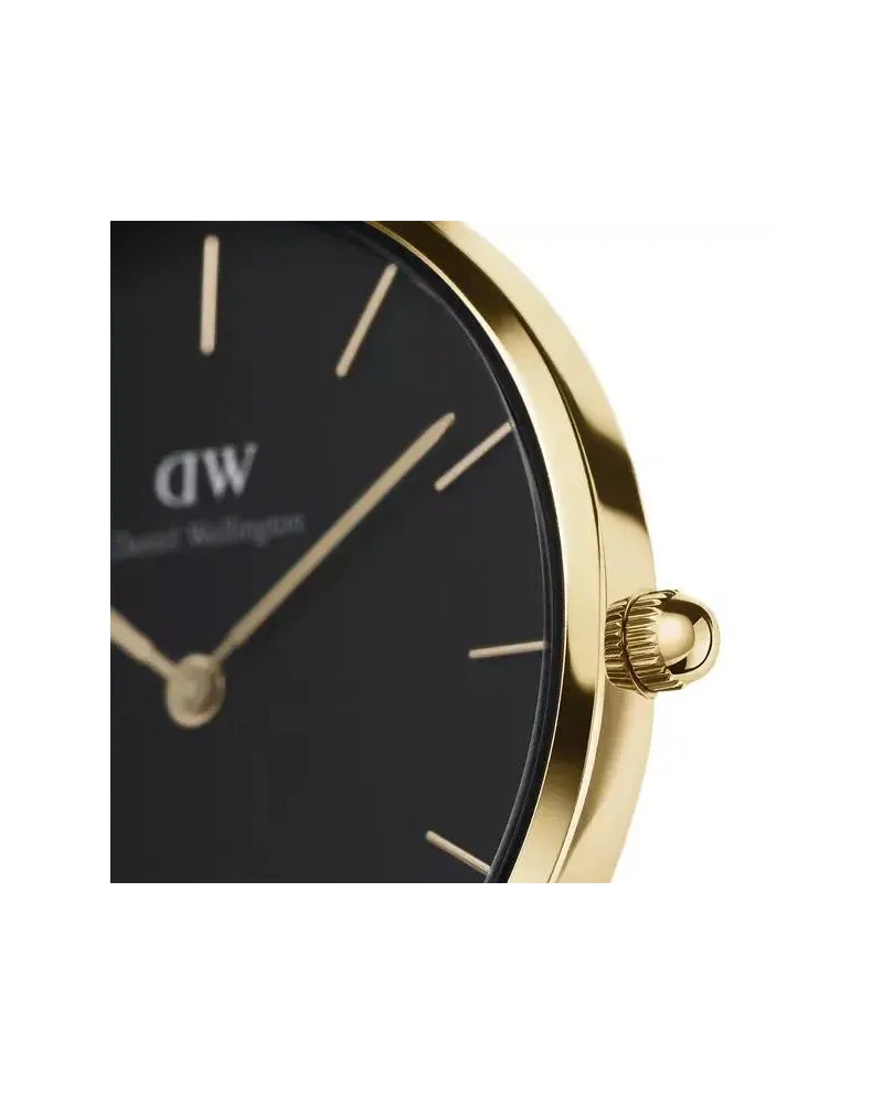 ZEGAREK DAMSKI DANIEL WELLINGTON DW00100349 - PETITE EVERGOLD 28mm (zw501c)
