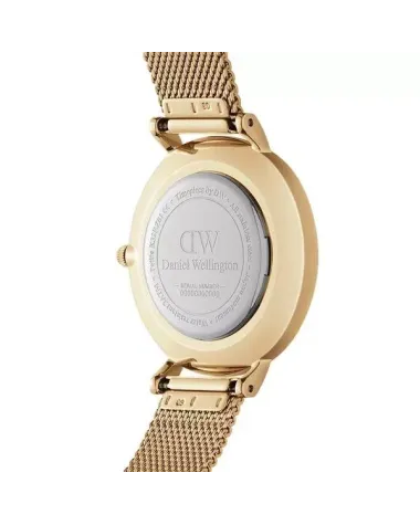 ZEGAREK DAMSKI DANIEL WELLINGTON DW00100349 - PETITE EVERGOLD 28mm (zw501c)