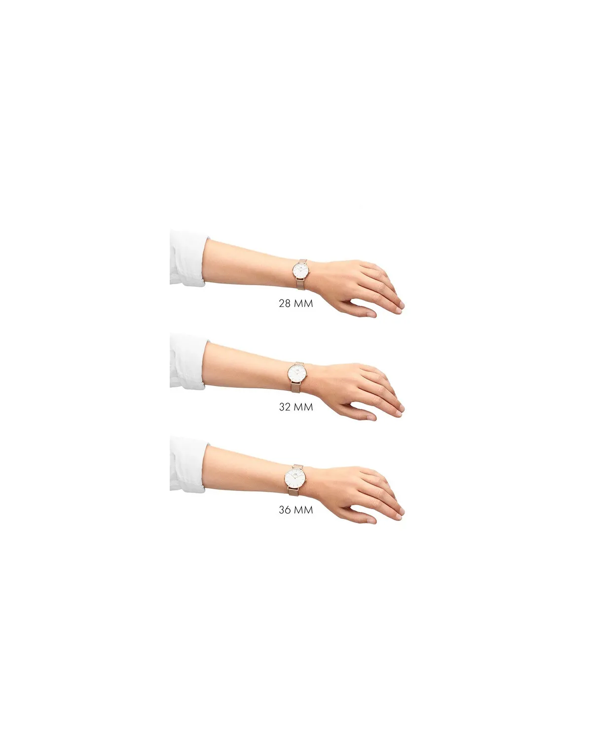 ZEGAREK DAMSKI DANIEL WELLINGTON DW00100349 - PETITE EVERGOLD 28mm (zw501c)