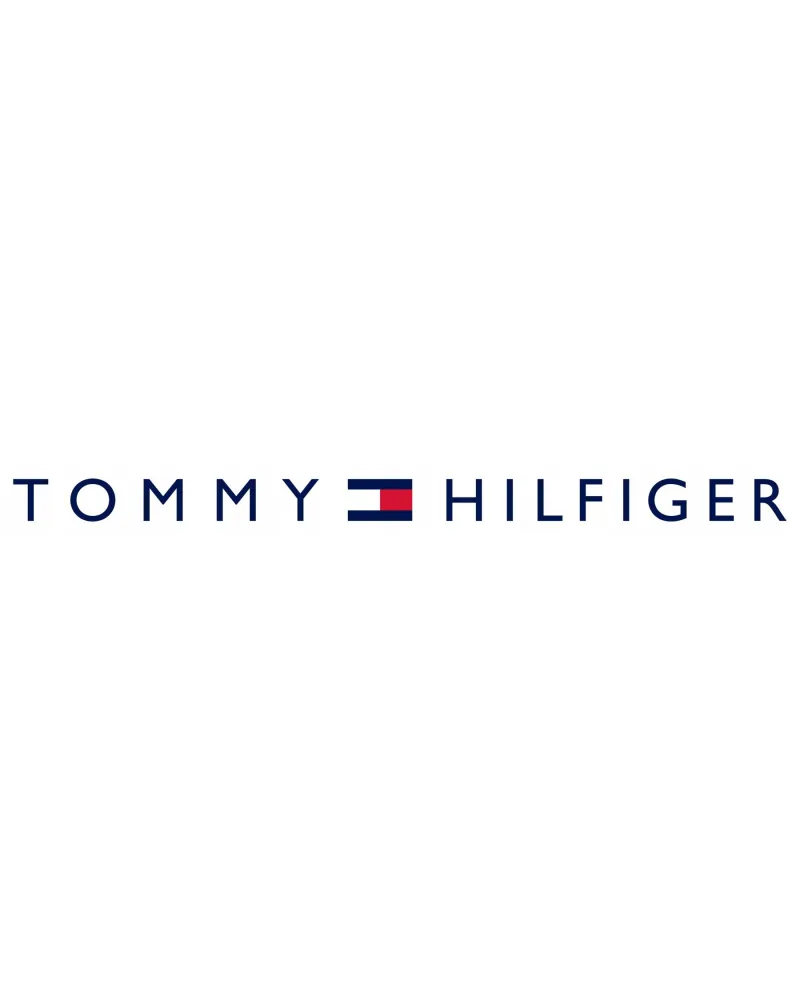 ZEGAREK MĘSKI TOMMY HILFIGER MAX 1791970 (zf103a) + BOX