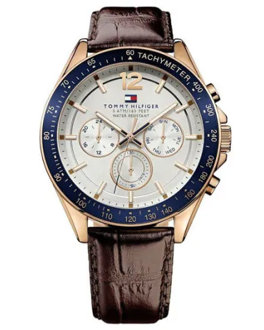 ZEGAREK MĘSKI TOMMY HILFIGER 1791118 (zf066a)