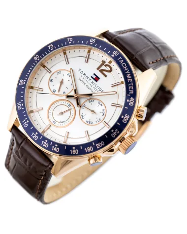 ZEGAREK MĘSKI TOMMY HILFIGER 1791118 (zf066a)