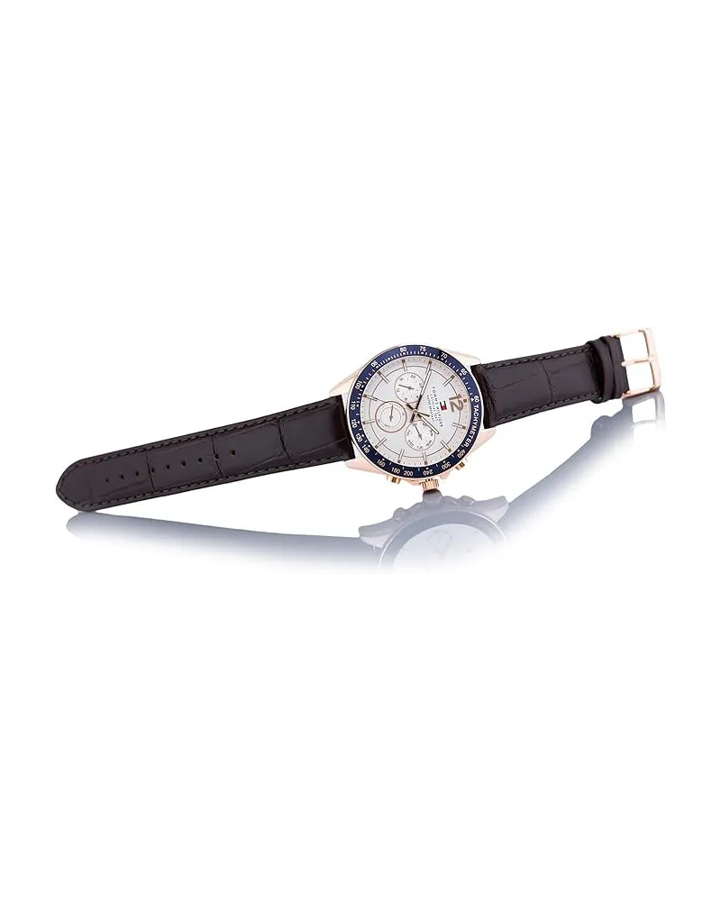 ZEGAREK MĘSKI TOMMY HILFIGER 1791118 (zf066a)