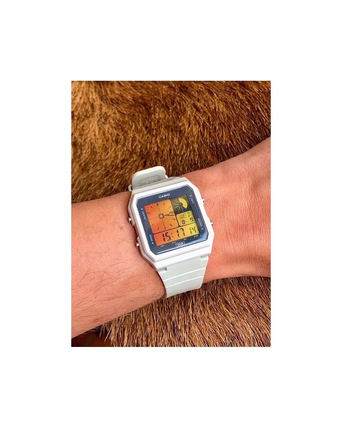 ZEGAREK MĘSKI CASIO Digital LF-20W-8A + BOX