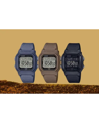 ZEGAREK MĘSKI CASIO W-800H-5A KLASYKA + BOX ZEGAREK MĘSKI CASIO W-800H-5A KLASYKA + BOX