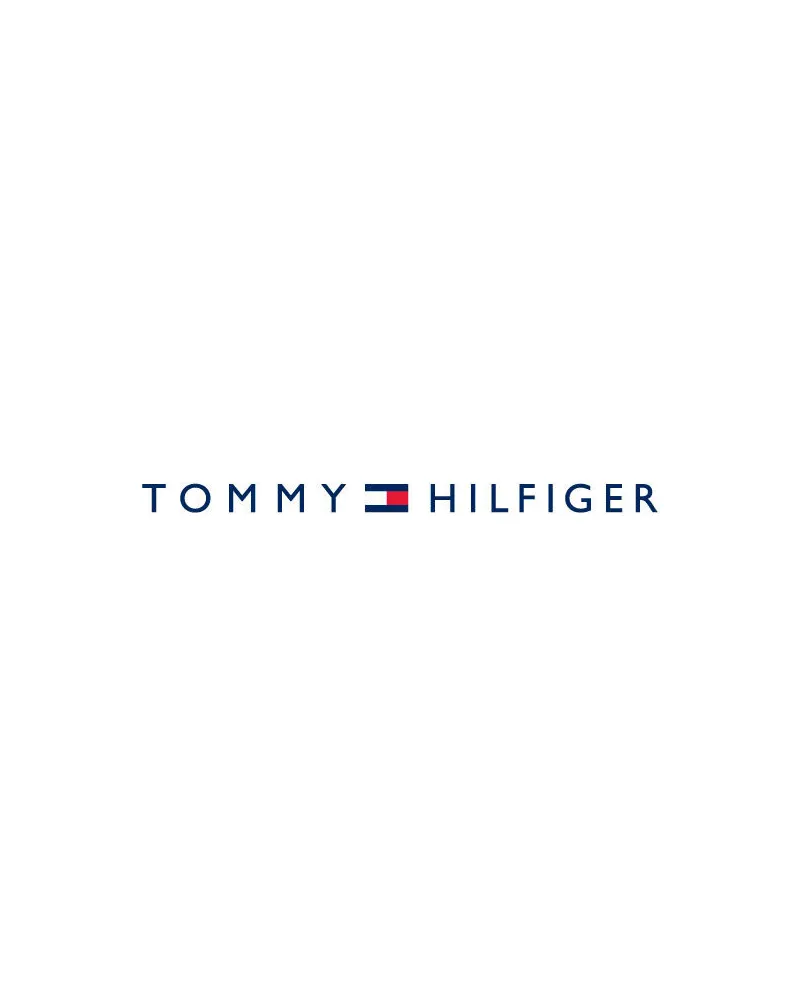 ZEGAREK MĘSKI TOMMY HILFIGER 1791719 BANK (zf022c)