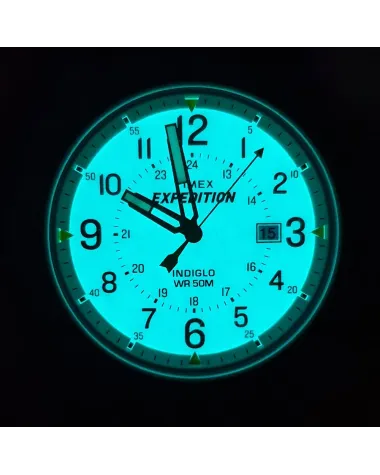 ZEGAREK MĘSKI TIMEX EXPEDITION T49990 - INDIGLO