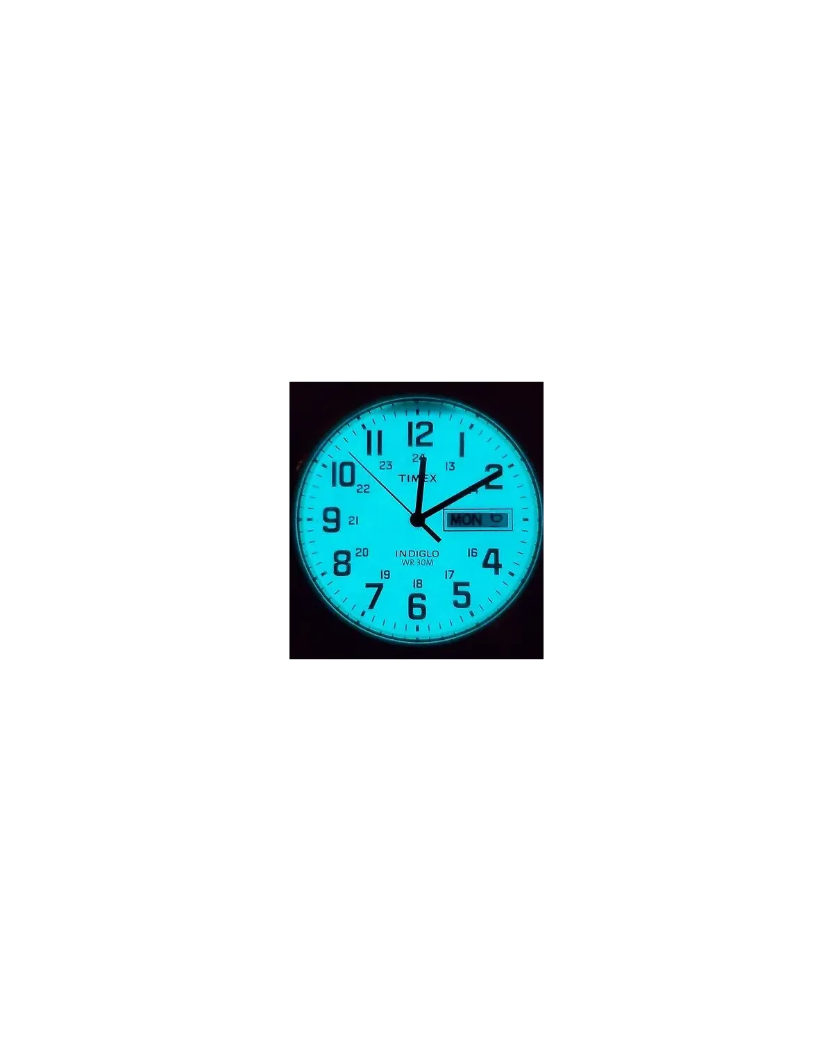 ZEGAREK MĘSKI TIMEX South Street Sport T2M933 + BOX
