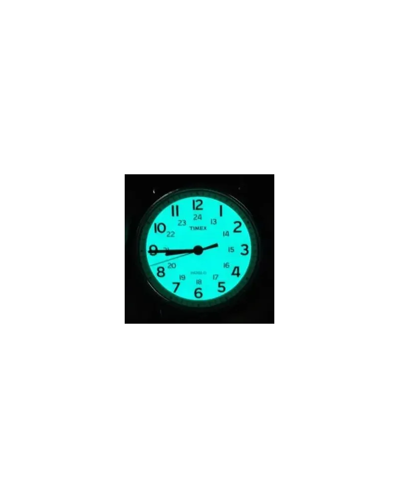 ZEGAREK UNISEX TIMEX T2N651 + BOX