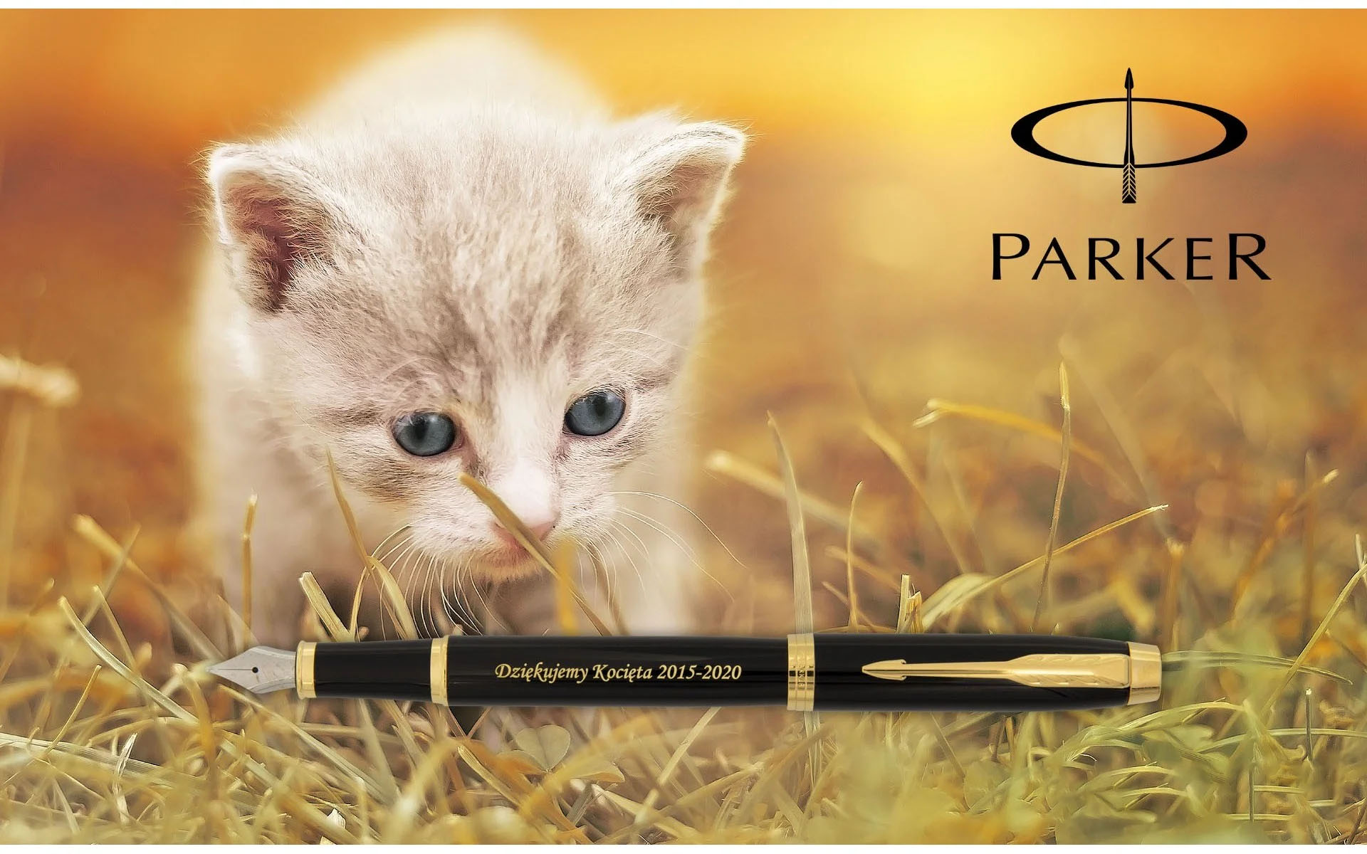 Pióro wieczne Parker IM Czarny GT [1931652] – eleganckie pióro z czarnym korpusem i złotymi wykończeniami, grawer „Dziękujemy Kocięta 2015–2020”, obok kotek na tle jesiennej trawy, logo Parker.